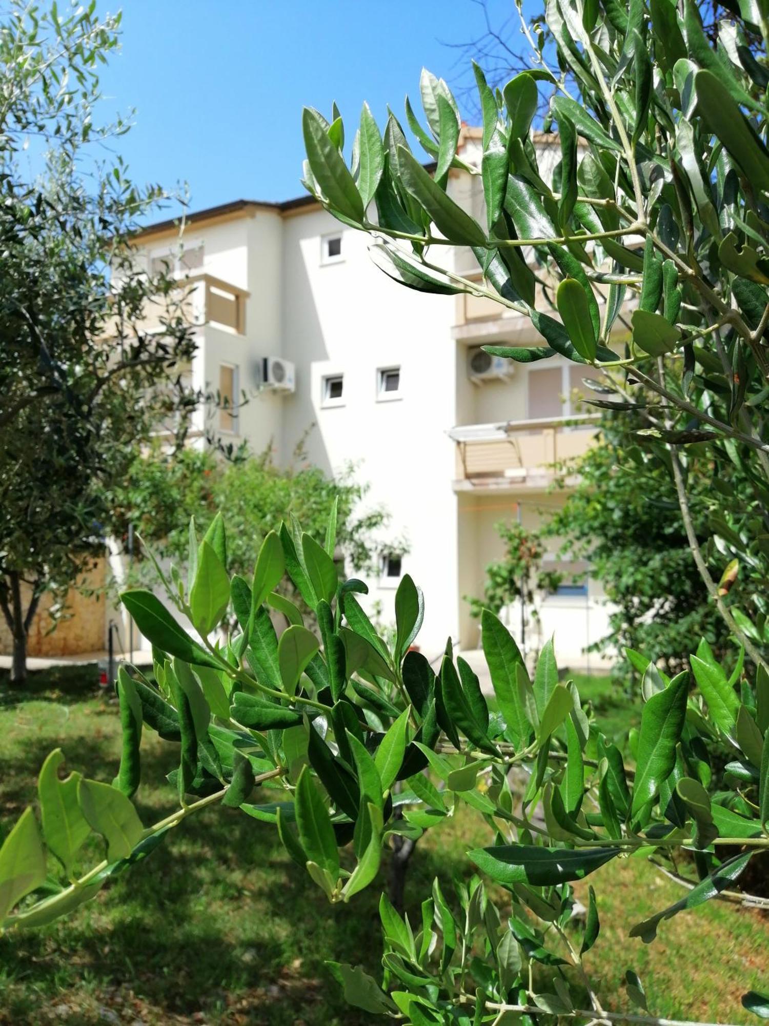 Apartments Monika Nin Exterior photo